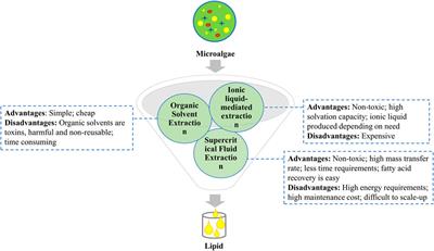 A review on unit operations, challenges, opportunities, and strategies to improve algal based biodiesel and biorefinery